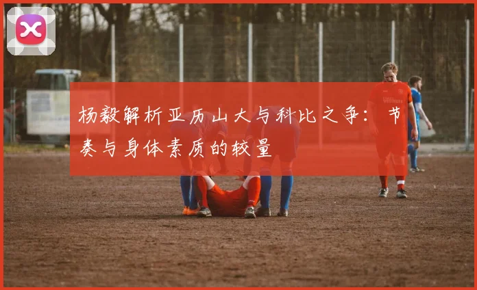 杨毅解析亚历山大与科比之争：节奏与身体素质的较量