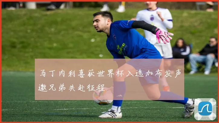 马丁内利喜获世界杯入选加布发声邀兄弟共赴征程