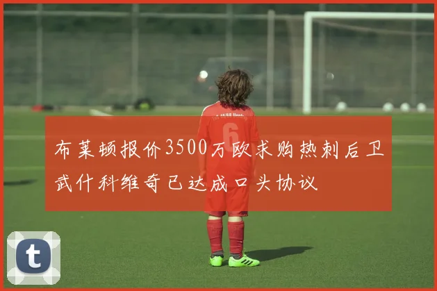 布莱顿报价3500万欧求购热刺后卫武什科维奇已达成口头协议